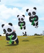 人平易近日報海外版 記者探訪“風箏之都”山東